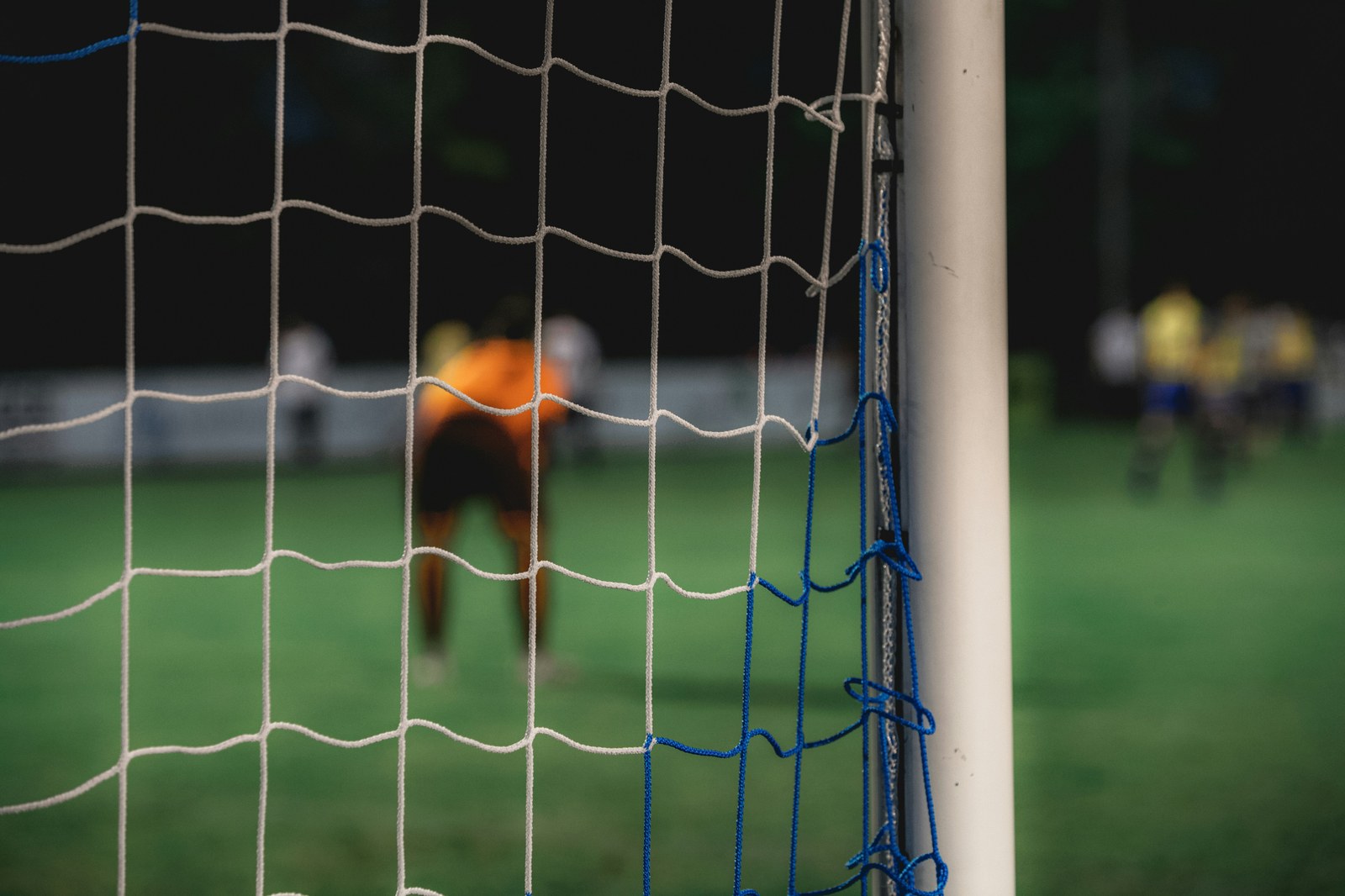 华体会体育 · 体育栏目服务配图（示意）